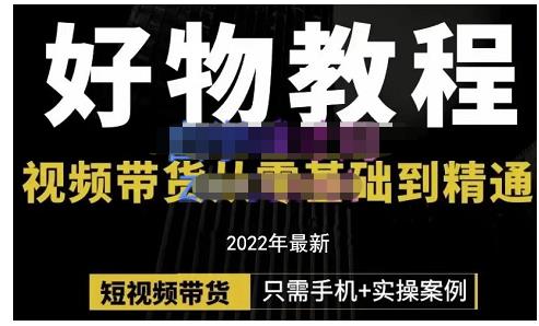 锅锅老师好物分享课程：短视频带货从零基础到精通，只需手机+实操-逐浪前行