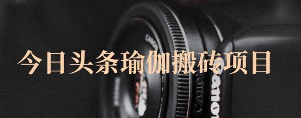 猎人社区·今日头条瑜伽搬砖项目，单号一天几十收入，可以批量操作！-逐浪前行
