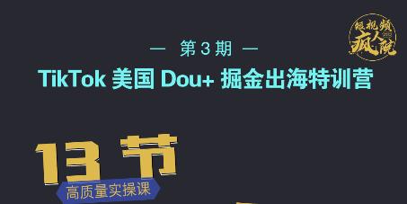 TikTok美国Dou+掘金出海特训营，美国dou+成功投放95%-逐浪前行