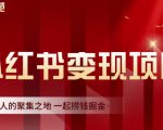 渣圈学苑·小红书虚拟资源变现项目，一起捞钱掘金价值1099元-逐浪前行
