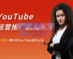 外国人眼中的YouTube该怎么玩?Elisa·YouTube运营推广实战技巧-逐浪前行