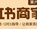 贾真-小红书商家营第6期商家版，21天带货陪跑课，让商家丢掉付流量-逐浪前行