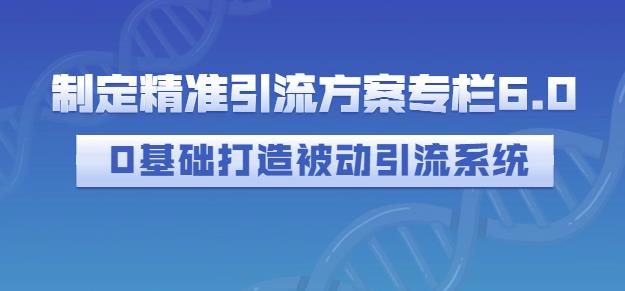制定精准引流方案专栏6.0，0基础打造被动引流系统-逐浪前行