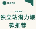 【跨境B哥】独立站潜力爆款选品推荐，测款出单率高达百分之80-逐浪前行