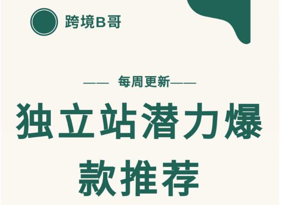 【跨境B哥】独立站潜力爆款选品推荐，测款出单率高达百分之80-逐浪前行