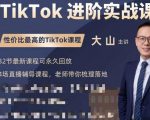 大山老师TikTok进阶实战课:账号详解,流量运营,实战变现,助力你成功出海-逐浪前行