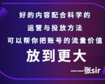 张sir账号流量增长课，告别海王流量，让你的流量更精准-逐浪前行