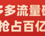 阿杰·拼多多流量破局:如何打黑标，爆款的思路，拼多多流量框架，快速抢占百亿流量-逐浪前行