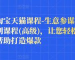樊剑淘宝天猫课程-生意参谋数据分析系列课程(高级)，让您轻松运营店铺，帮助打造爆款-逐浪前行