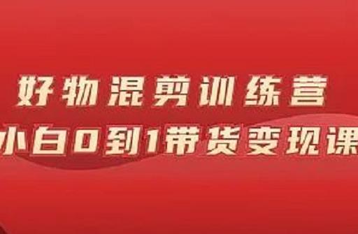 万三好物混剪训练营：小白0到1带货变现课-逐浪前行