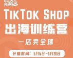 疯人院:TikTok Shop出海训练营(一店卖全球),出海抢占全球新流量-逐浪前行