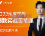 止步学堂·2022淘宝天猫爆款打造系列课-比克，爆款实战落地教程价值1980元-逐浪前行