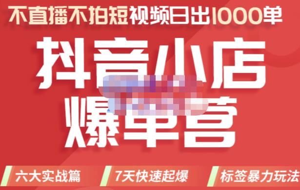 推易电商·2022年抖音小店爆单营，不直播、不拍短视频、日出1000单，暴力玩法-逐浪前行