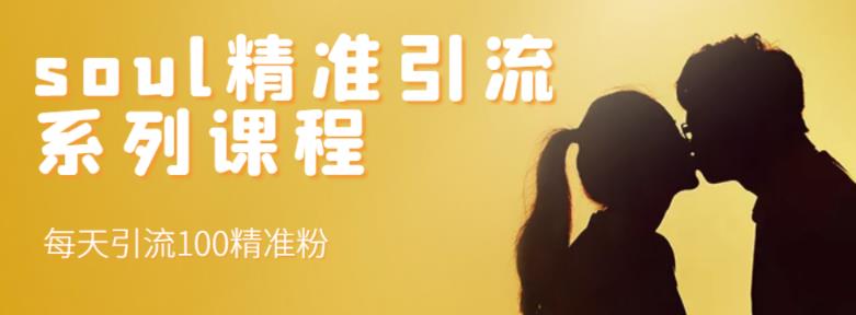 soul精准引流系列课程，每天引流100精准粉-逐浪前行