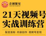 张萌21天视频号实战训练营,裂变涨粉、内容创作、视频号变现 价值298元-逐浪前行