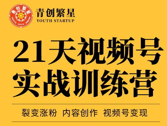 张萌21天视频号实战训练营，裂变涨粉、内容创作、视频号变现 价值298元-逐浪前行