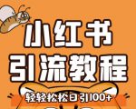 小红书运营引流全系列课程,每天引流100精准粉-逐浪前行