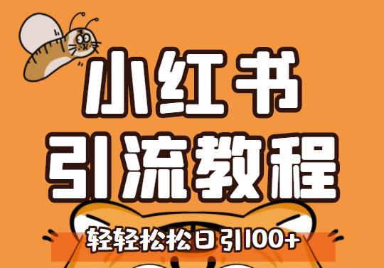 小红书运营引流全系列课程，每天引流100精准粉-逐浪前行