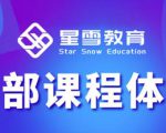 星雪教育淘系高级班,更全的运营提升方案,零基础由浅入深,店铺最新玩法-逐浪前行