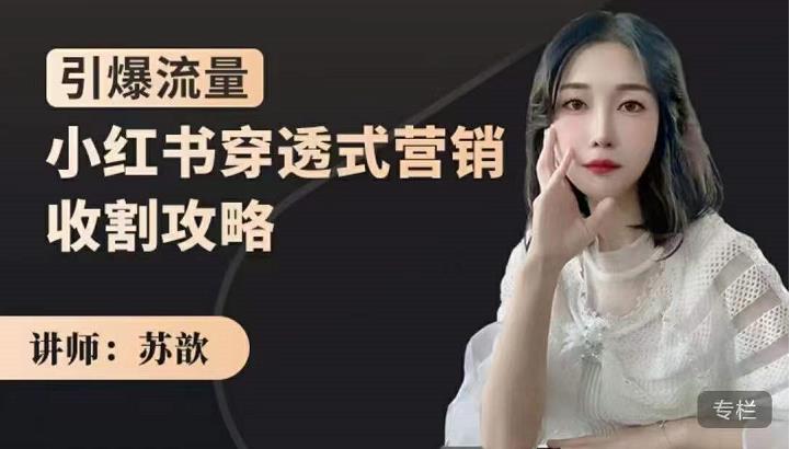 苏歆：小红书穿透式营销收割攻略，引爆流量，助你玩转小红书-逐浪前行