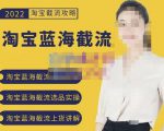 2022淘宝蓝海截流攻略,淘宝蓝海截流选品上货实操讲解-逐浪前行