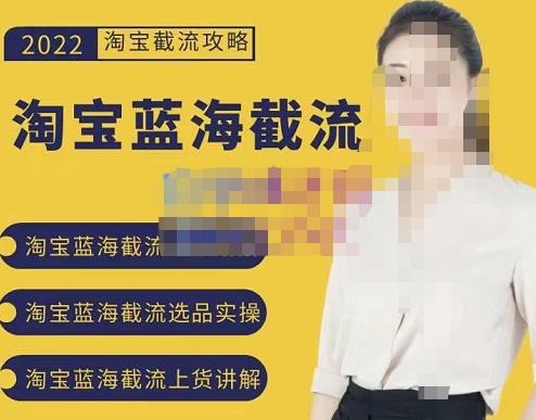 2022淘宝蓝海截流攻略，淘宝蓝海截流选品上货实操讲解-逐浪前行