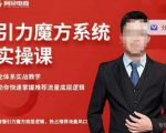 阿呆-引力魔方系统实操课,全体系实战教学,助你快速掌握推荐流量底层逻辑-逐浪前行