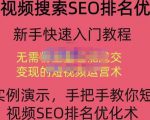 宋老师·短视频搜索SEO优化,教你10分钟创作一个短视频,三天排名上第一-逐浪前行