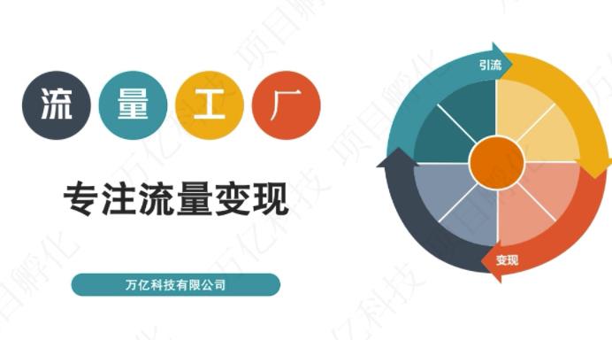 收费3980的流量工厂回粉项目，号称1个粉10元【详细玩法教程解析】-逐浪前行
