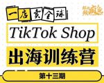 TikTokShop出海训练营（第十三期），打开全球流量新思维，出海抢占全球新流量，一店卖全球-逐浪前行