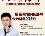 星哥同城教育书单号课程，无需出境简单操作项目稳定-逐浪前行