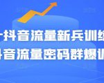 Peter抖音流量新兵训练营-破解抖音流量密码群爆训练营(新兵)-逐浪前行