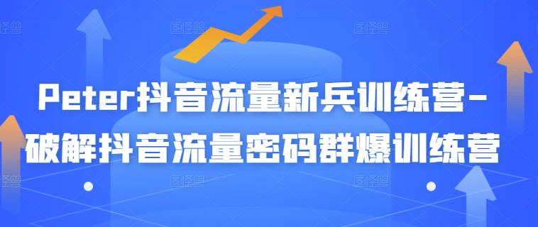 Peter抖音流量新兵训练营-破解抖音流量密码群爆训练营（新兵）-逐浪前行