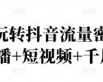 2022玩转抖音流量密码，(直播+短视频+千川)-逐浪前行