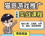 猫哥·游戏推广实战课程,单视频收益达6位数,从0到1成为优质游戏达人-逐浪前行