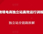 跨境电商独立站高效运行训练营,独立站全链路拆解-逐浪前行
