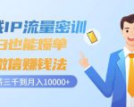 私域IP流量密训:小白也能爆单的微信赚钱法,从月薪三千到月入10000+-逐浪前行