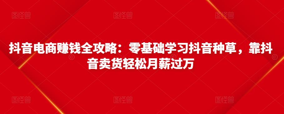 抖音电商赚钱全攻略：零基础学习抖音种草，靠抖音卖货轻松月薪过万-逐浪前行
