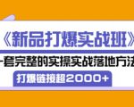 凌童《新品打爆实战班》,一套完整的实操实战落地方法,打爆链接超2000+(28节课)-逐浪前行