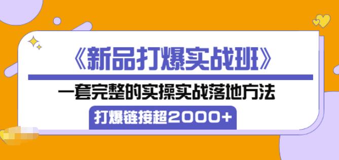 凌童《新品打爆实战班》,一套完整的实操实战落地方法，打爆链接超2000+（28节课)-逐浪前行