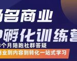杨名商业IP孵化训练营，从商业到内容到转化一站式学 价值5980元-逐浪前行