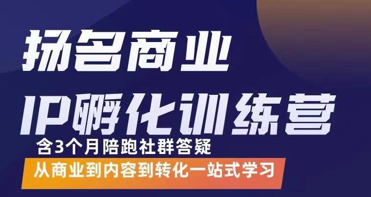 杨名商业IP孵化训练营，从商业到内容到转化一站式学 价值5980元-逐浪前行