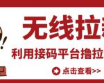 最新接码无限拉新项目，利用接码平台赚拉新平台差价，轻松日赚500+-逐浪前行