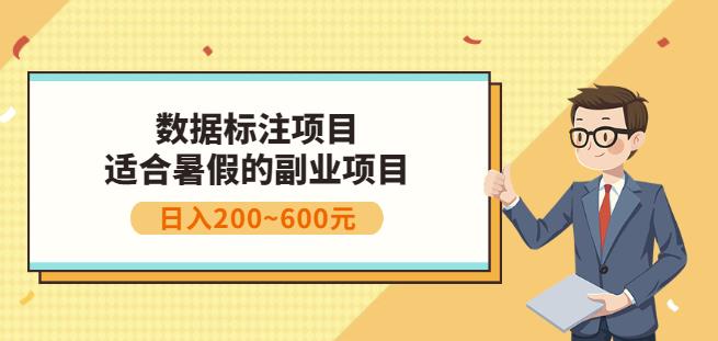 副业赚钱：人工智能数据标注项目，简单易上手，小白也能日入200+-逐浪前行