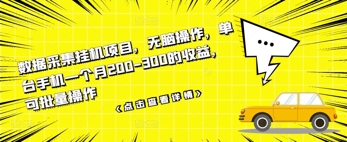 数据采集挂机项目，无脑操作，单台手机一个月200-300的收益，可批量操作-逐浪前行
