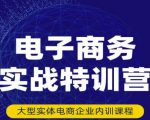 民赛电气内部出品:电子商务实战特训营,全方位带你入门电商,308种方式玩转电商-逐浪前行