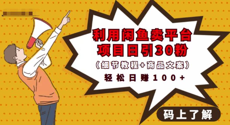 利用闲鱼卖平台项目课程资源日引流30+精准粉丝，轻松日赚100+，积累人脉可实现二次变-逐浪前行