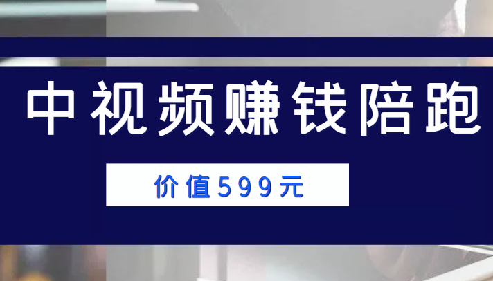 中视频赚钱陪跑，卖中视频账户赚钱收益陪跑项目（价值599元）-逐浪前行