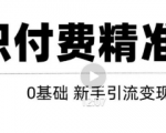 玩转知识付费项目精准引流，给你1套课多账号操作落地方案！-逐浪前行