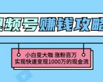 玩转微信视频号赚钱:小白变大咖涨粉百万实现快速变现1000万的现金流-逐浪前行
